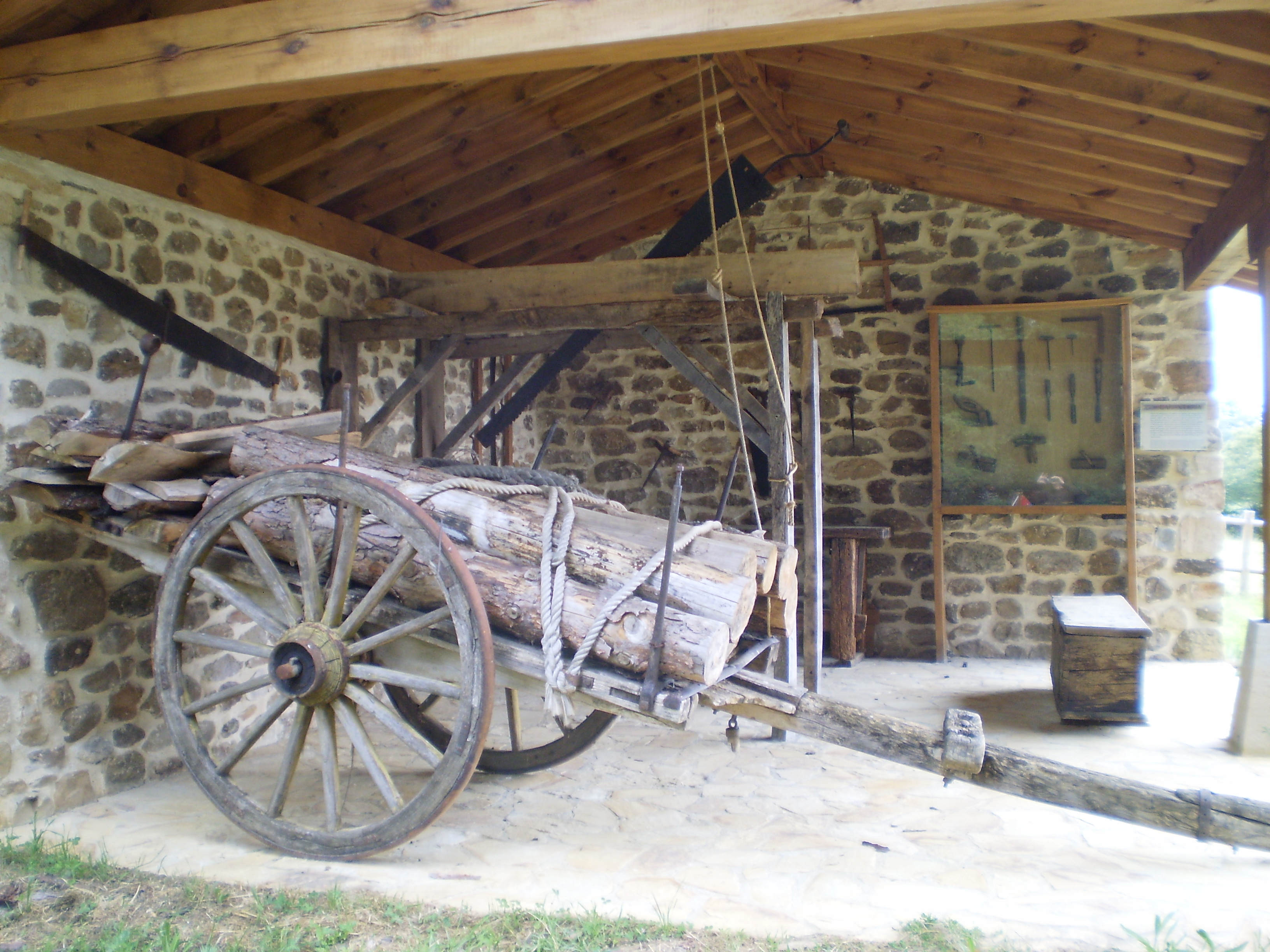 Museo