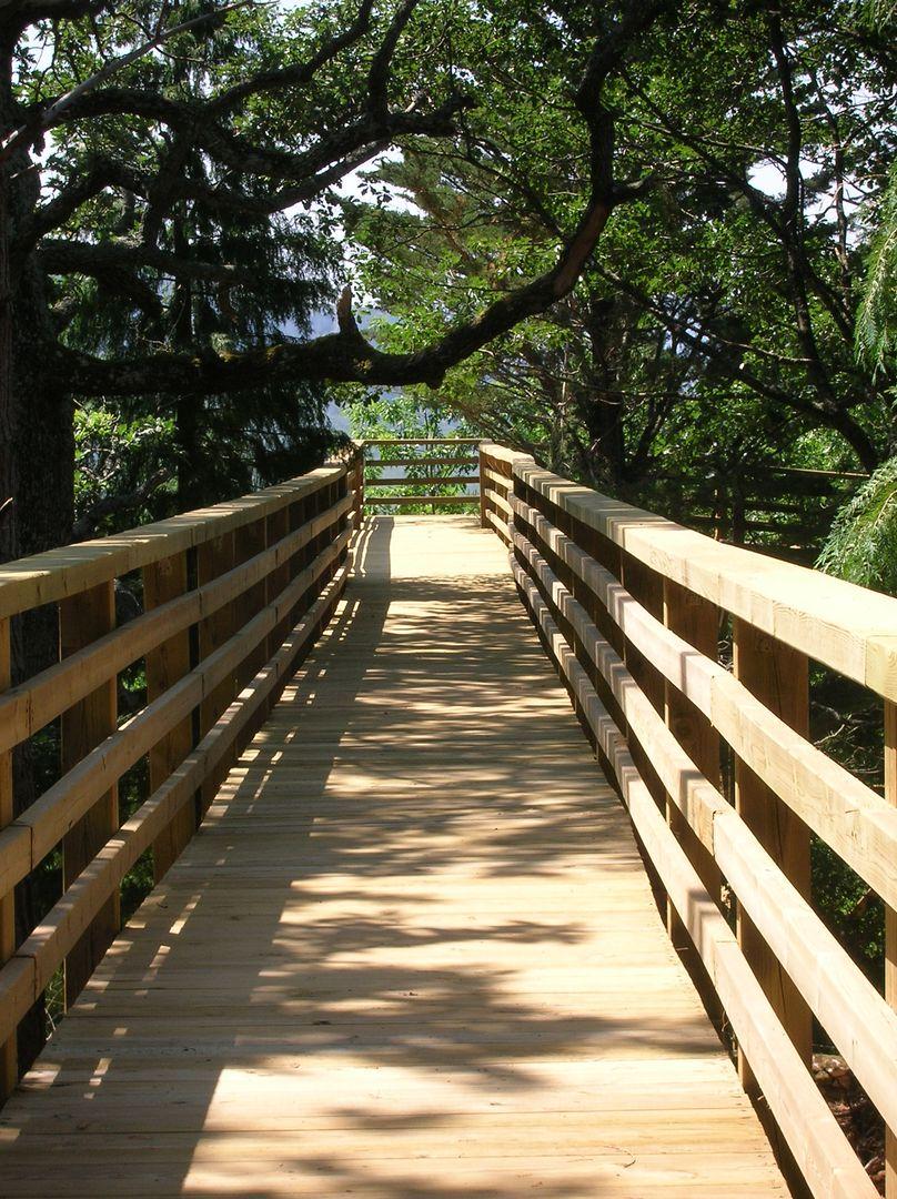 Área Recreativa “Vivero Forestal de Quintanilla del Rebollar”
