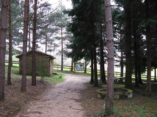 Área Recreativa “Vivero Forestal de Quintanilla del Rebollar”